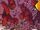 Hand (Earth-14850) What If Wolverine Enemy of the State Vol 1 1.jpg