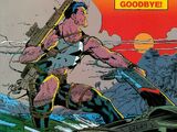 Punisher War Journal Vol 1 19