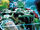 Bruce Banner (Earth-616) from Thor Vol 6 26 001.png