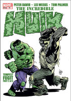 Incredible Hulk (Vol. 2) #78 "Tempest Fugit, Part 2" Release date: February 9, 2005 Cover date: April, 2005