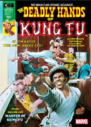 Deadly Hands of Kung Fu Vol 1 3