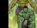 Generations: Banner Hulk & The Totally Awesome Hulk Vol 1 1
