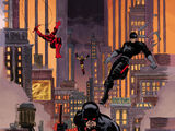 Daredevil's Suit