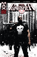 Punisher (Vol. 7) #45 "Widowmaker, Part Three" Release date: March 7, 2007 Cover date: May, 2007