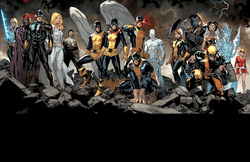 Community - Expert Showcase.gif