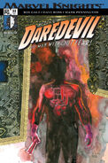 Daredevil Vol 2 #23 "Playing to the Camera part four: Making Offers" (November, 2001)