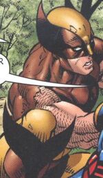 Wolverine (Logan) (Earth-161)