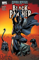 Black Panther Vol 5 3