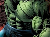 Bruce Banner Jr. (Earth-807128)