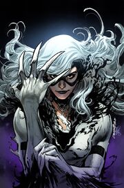 Black Cat Vol 2 2 Textless