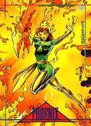 Marvel Universe Cards: Series IV