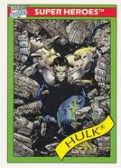 Bruce Banner (Earth-616) from Marvel Universe Cards Series I 0002.jpg (40 KB) Marvel Universe Cards: Series I