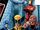 Avengers (Earth-312500)