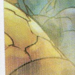 Benjamin Grimm (Earth-TRN1273) from New Avengers Vol 1 24 0001.jpg
