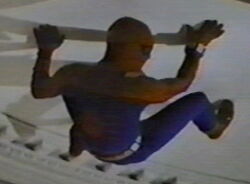 The Amazing Spider-Man (série de televisão) - Wikiwand