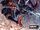 Amazing Spider-Man Vol 6 13