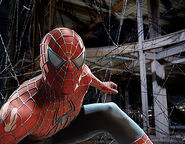 Peter Parker (Earth-96283) from Spider-Man 3 (film) 0002