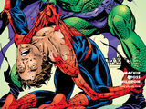 Spectacular Spider-Man Vol 1 263