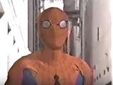 The Amazing Spider-Man (TV series) Season 1 1