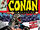 Conan the Barbarian Vol 1 110