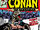 Conan the Barbarian Vol 1 110.jpg