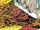 Nkotha (Earth-616) from Wolverine Vol 2 85 0001.jpg