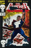 Punisher (Vol. 2) #79 "Survival Part 3" Release date: April 20, 1993 Cover date: June, 1993