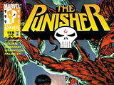 Punisher Vol 4 4