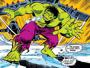 Bruce Banner (Earth-616) from Incredible Hulk Vol 1 163 0001.jpg (212 KB) From Incredible Hulk #163