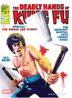 Deadly Hands of Kung Fu Vol 1 28