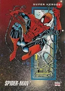 Peter Parker (Earth-616) from Marvel Universe Cards Series III 0001.jpg (34 KB) Marvel Universe Cards: Series III