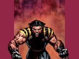 Ultimate X-Men Vol 1 41