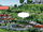 Costa Verde (California) from Ultimate X Vol 1 4 0001.jpg