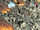 Earth-TRN1370