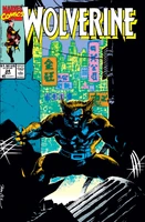 Wolverine (Vol. 2) #24