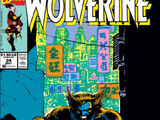 Wolverine Vol 2 24