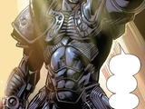Black Panther's Armor