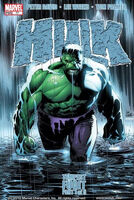 Incredible Hulk (Vol. 2) #77 "Tempest Fugit, Part 1" Release date: January 5, 2005 Cover date: March, 2005