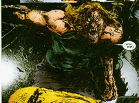 Sabretooth killed the X-Men (Earth-9670)