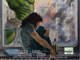World War Hulk: Front Line Vol 1 5