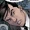 Azuma Gōda (Earth-616)