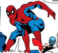 Spider-Man as seen through Kingpin's monitor.