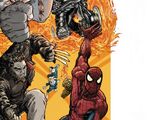 Spider-Man/Fantastic Four Vol 1 3
