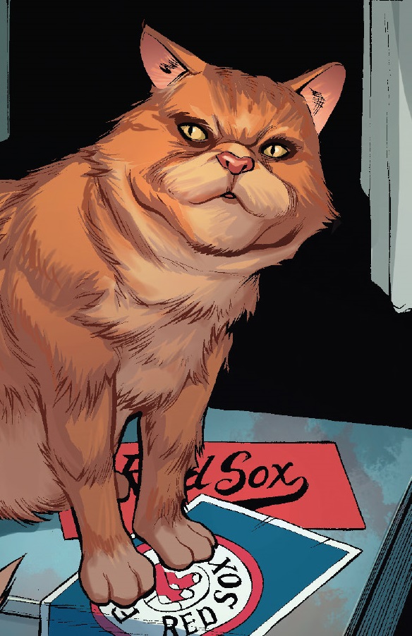 Captain on sale marvel cat