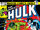 Incredible Hulk Vol 1 256