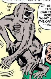 Igor (Earth-616) from Fantastic Four Vol 1 13 0001.jpg