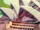 New South Wales
