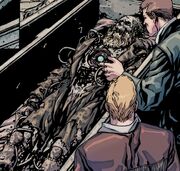 Leonardo da Vinci's decoy