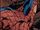 Peter Parker (Earth-10363) from Captain America Reborn Vol 1 6 001.jpg