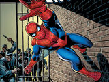 Epic Collection: Amazing Spider-Man Vol 1 4